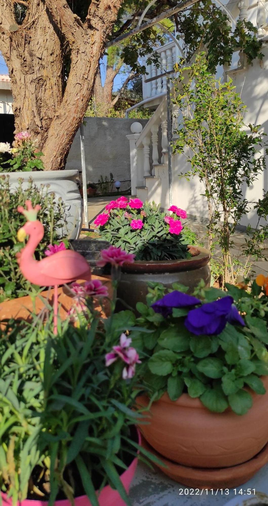 Melissourgoú Secret Garden Home Lagonissi Attiki מראה חיצוני תמונה