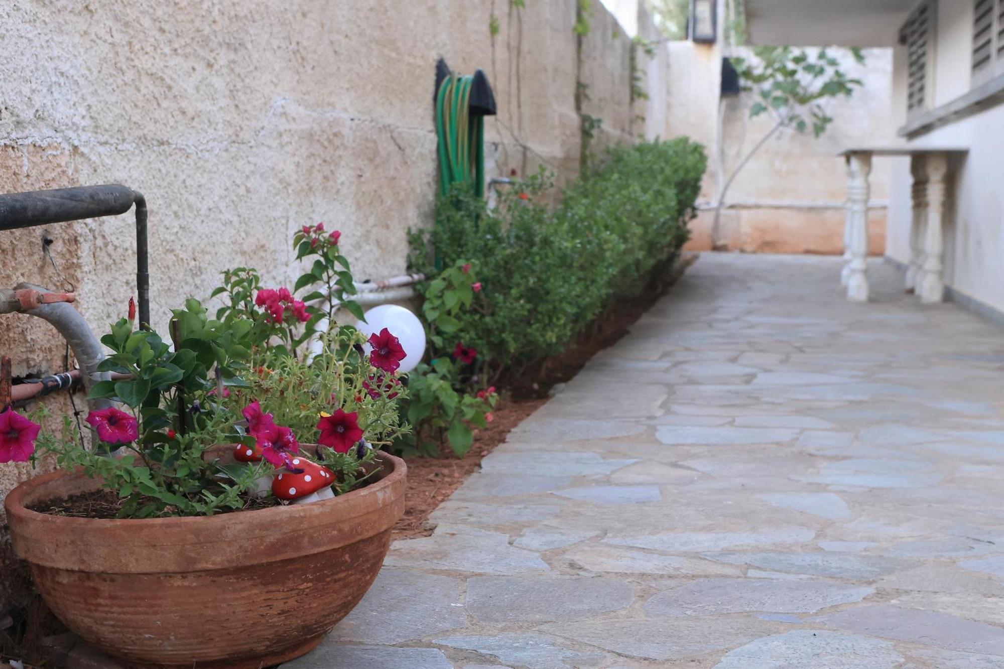 Melissourgoú Secret Garden Home Lagonissi Attiki מראה חיצוני תמונה
