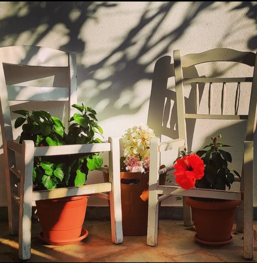 Melissourgoú Secret Garden Home Lagonissi Attiki מראה חיצוני תמונה